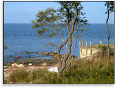 Beautiful Beach View Beautiful Beach View